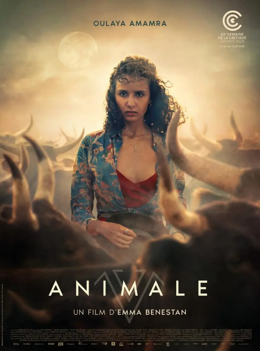 Animale_afiche